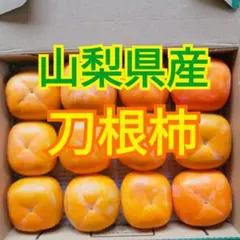 山梨県産　秋の味覚　刀根柿