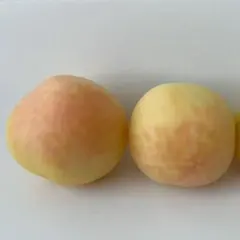 すずりん様 リクエスト 3点 まとめ商品