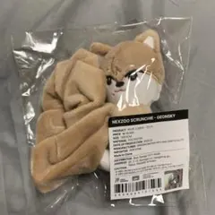 NEXZ ゴンスキー　ソゴンシュシュ　NEXZOO ソウルコン　onebeat