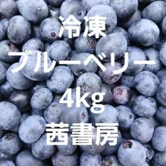 ブルーベリー 約4.5キロ 冷凍 まとめ売り - メルカリ