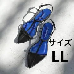 【美品】mamian Tストラップポインテッドフラットサンダル ブラック LLのサムネイル