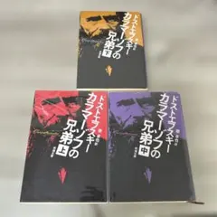 カラマーゾフの兄弟　ドストエフスキー　新潮文庫