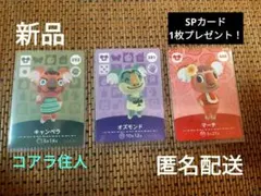 あつまれどうぶつの森アミーボカード　コアラ住人