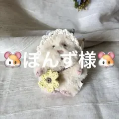 ぽんず様