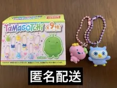 たまごっち チョコボックス ふらわっち　ほーほっち