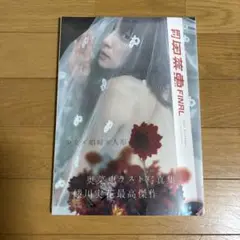 月刊奥菜恵FINAL