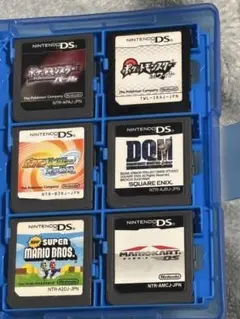 DSのカセットセットです