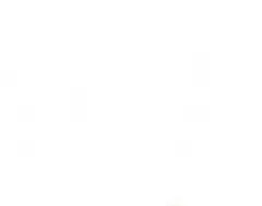 だまやまだ様専用