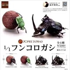 【全4種】　1/1　フンコロガシ　ガチャ　フィギュア　アニマリエコレクション　虫のサムネイル