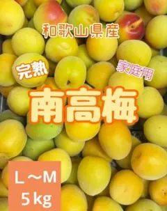 数量限定‼️完熟南高梅 大玉傷あり3L2Lサイズ 5kg みかんキング - メルカリ