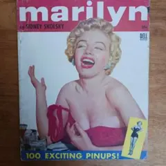 ピクチャーレコード 希少ヌードピンナップ マリリン・モンロー - メルカリ