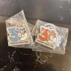 ポケモン30周年 メタルチャームマスコット めじるしアクセサリー