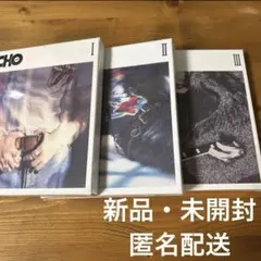 【新品未開封】BTS Jin ECHO 3形態セット①