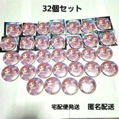 犬飼いろは　海風のリゾート　缶バッジ　32個セット　わんだふるぷりきゅあ