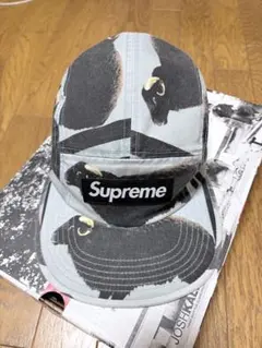 Supreme Damien Hirst Camp Cap - メルカリ