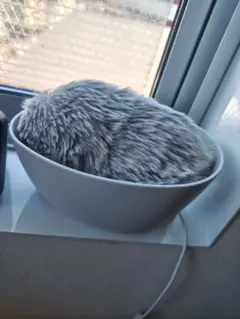 2026年最新】Moflin モフリンの人気アイテム - メルカリ