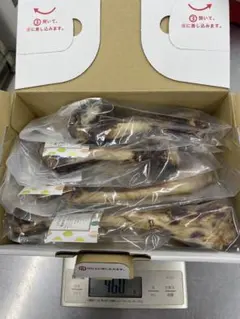 【現品販売★お試し価格】大型犬用 鹿骨ロースト 国産ジビエおやつボリューム②