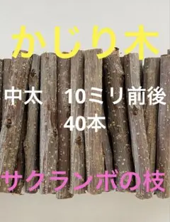 Item thumbnail for item e094befb-18d8-4af3-b399-8b5aef3bda70