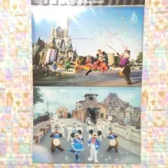 ディズニー　クリアホルダー　40周年　実写　イマジニングザマジック　ランド　シー