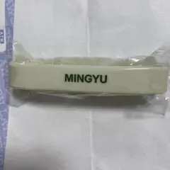 SEVENTEEN MINGYU ラバーバンド