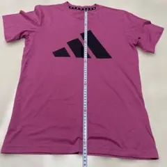 adidas アディダス Tシャツ ピンク