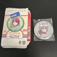 【新品】からぴち キラキラカンバッジコレクション どぬく