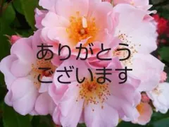 ☆ばあば様専用ページ☆【新品】フラワーレース使い＊チュニック＊白＊M～L対応