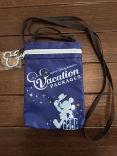 ☆ 東京ディズニーリゾート　バケーションパッケージバッグ　ミッキー　匿名発送☆