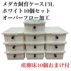 2026年最新】オーバーフロー水槽の人気アイテム - メルカリ