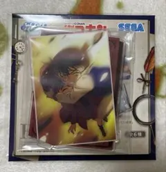 名探偵コナン セガラッキーくじ　H賞アクリルスタンド　哀&コナン