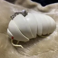 Item thumbnail for item 27d80a61-9b33-44f1-94ad-5491cea13ae9