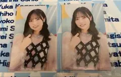 正源司陽子 日向坂46 ひなこれ 会場くじ C賞 プリントサイン入りミニ