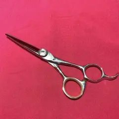 2026年最新】fuji シザーの人気アイテム - メルカリ