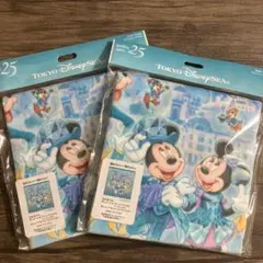 ディズニーシー 25周年 ワイドバスタオル ダッフィーアンドフレンズ