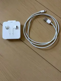 Apple 有線イヤホン Lightning TYPE-C & 充電ケーブル