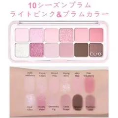 プロアイパレットエア シーズンプラム