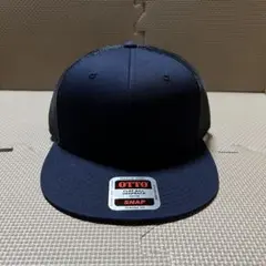 Item thumbnail for item 9dafbd2d-126d-42bc-b206-12430cecda75