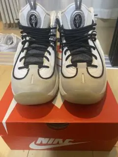NIKE AIR PENNY Ⅱ ナイキ エアペニー2 箱付き