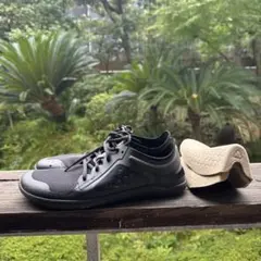 Item thumbnail for item 726ae9bc-0d03-4111-bdaf-0e29e6b32991