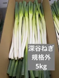 深谷ねぎ 夏ネギ 5キロ サイズバラバラのサムネイル