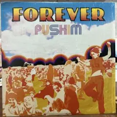 PUSHIM FOREVER アナログレコード