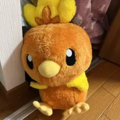 ポケモン　アチャモ　ぬいぐるみ