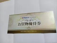 YAMADA HLDGS. お買物優待券 500円券 10枚