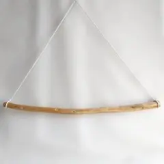 Item thumbnail for item 74020ddc-2a82-4204-b515-04395130cb64