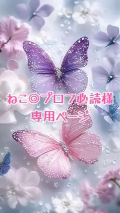 ねこ◎プロフ必読様専用ページ