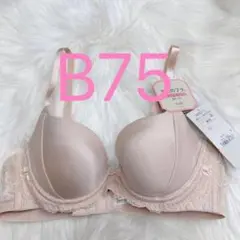 トリンプ 天使のブラ(R) スリムライン502 ブラジャー ベージュ B75