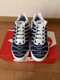 Paris Saint-Germain × Nike Air Max Plus