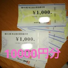 ★最新★ビックカメラ・コジマ 株主様お買物優待券 10000円分　計10枚