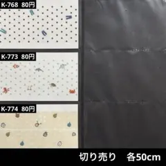 Item thumbnail for item ad570354-05ed-4e5e-97e5-96657820e881