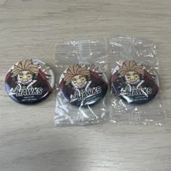 ヒロアカ　ホークス ピンバッジ 3個セット